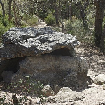 Dolmen dit Cava de lAlarb à Argelès-sur-Mer
