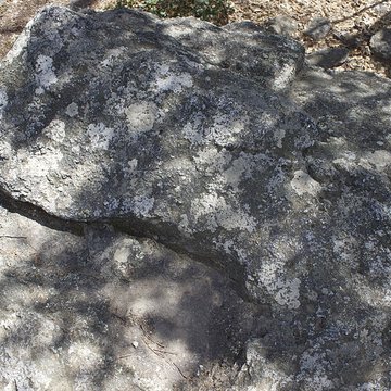 Dolmen dit Cava de lAlarb à Argelès-sur-Mer