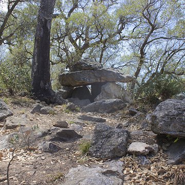 Dolmen dit Cava de lAlarb à Argelès-sur-Mer