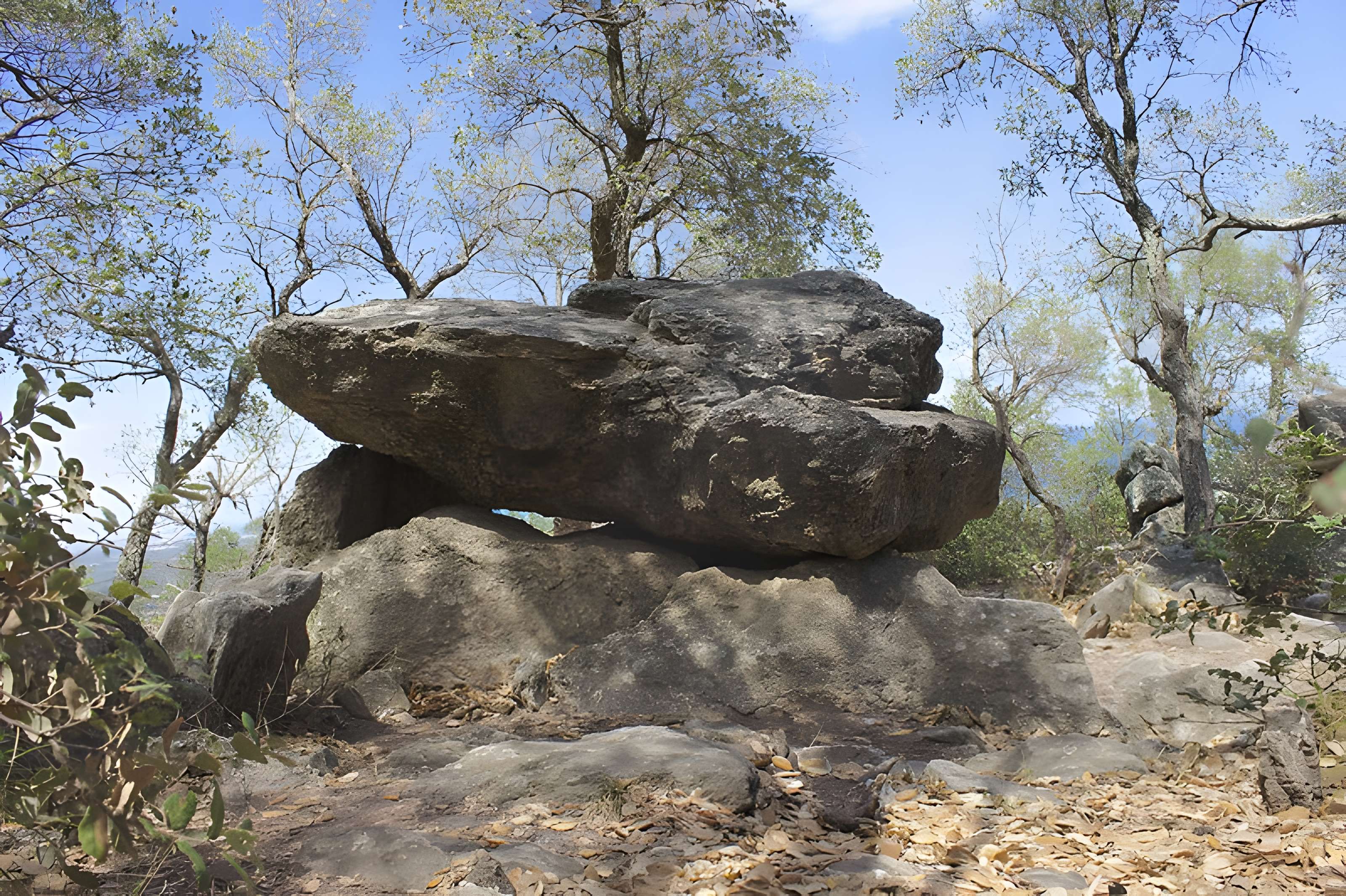 Dolmen dit Cava de l'Alarb à Argelès-sur-Mer 