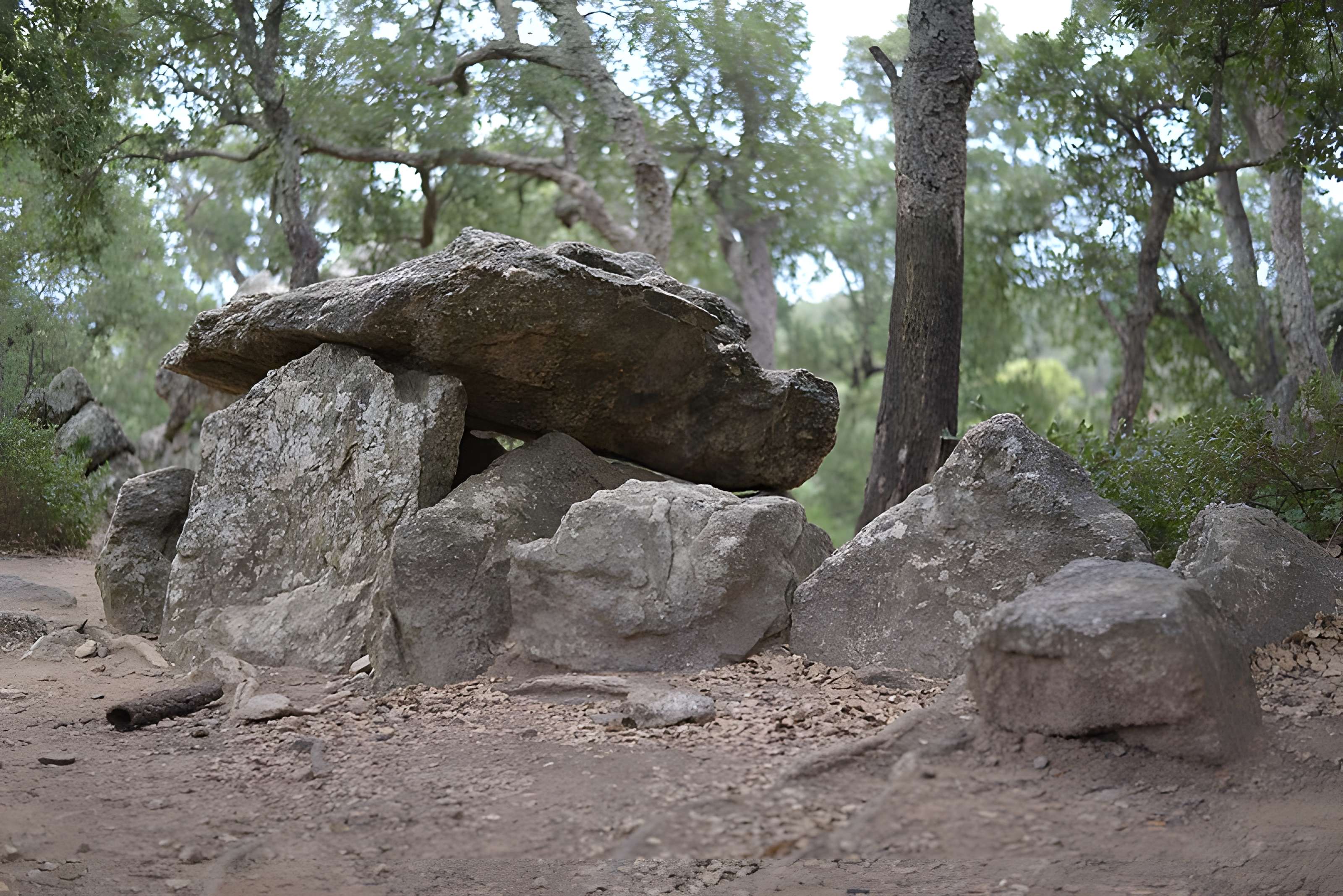 Dolmen dit Cava de l'Alarb à Argelès-sur-Mer