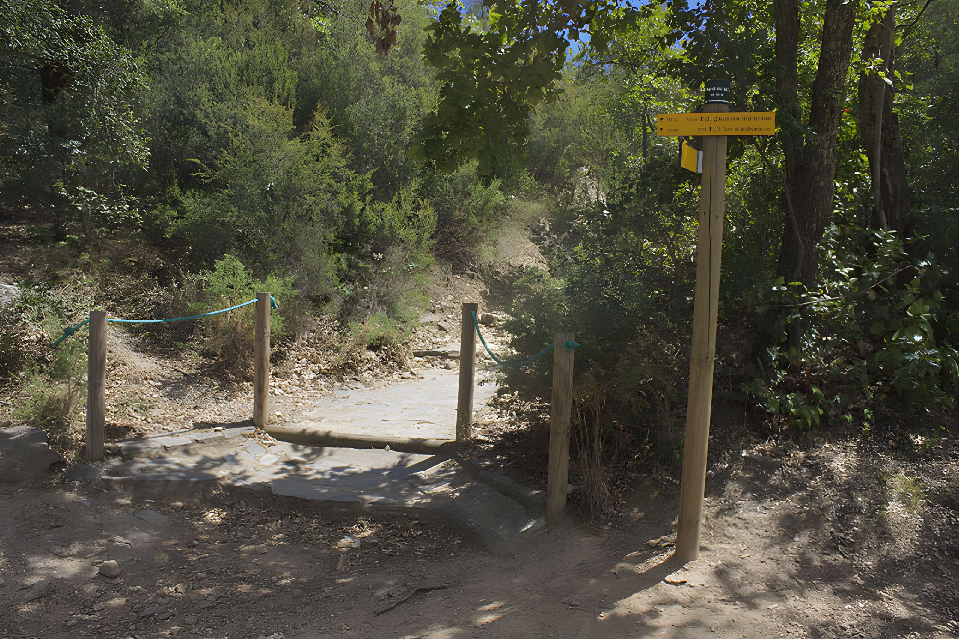 Dolmen dit Cava de l'Alarb à Argelès-sur-Mer