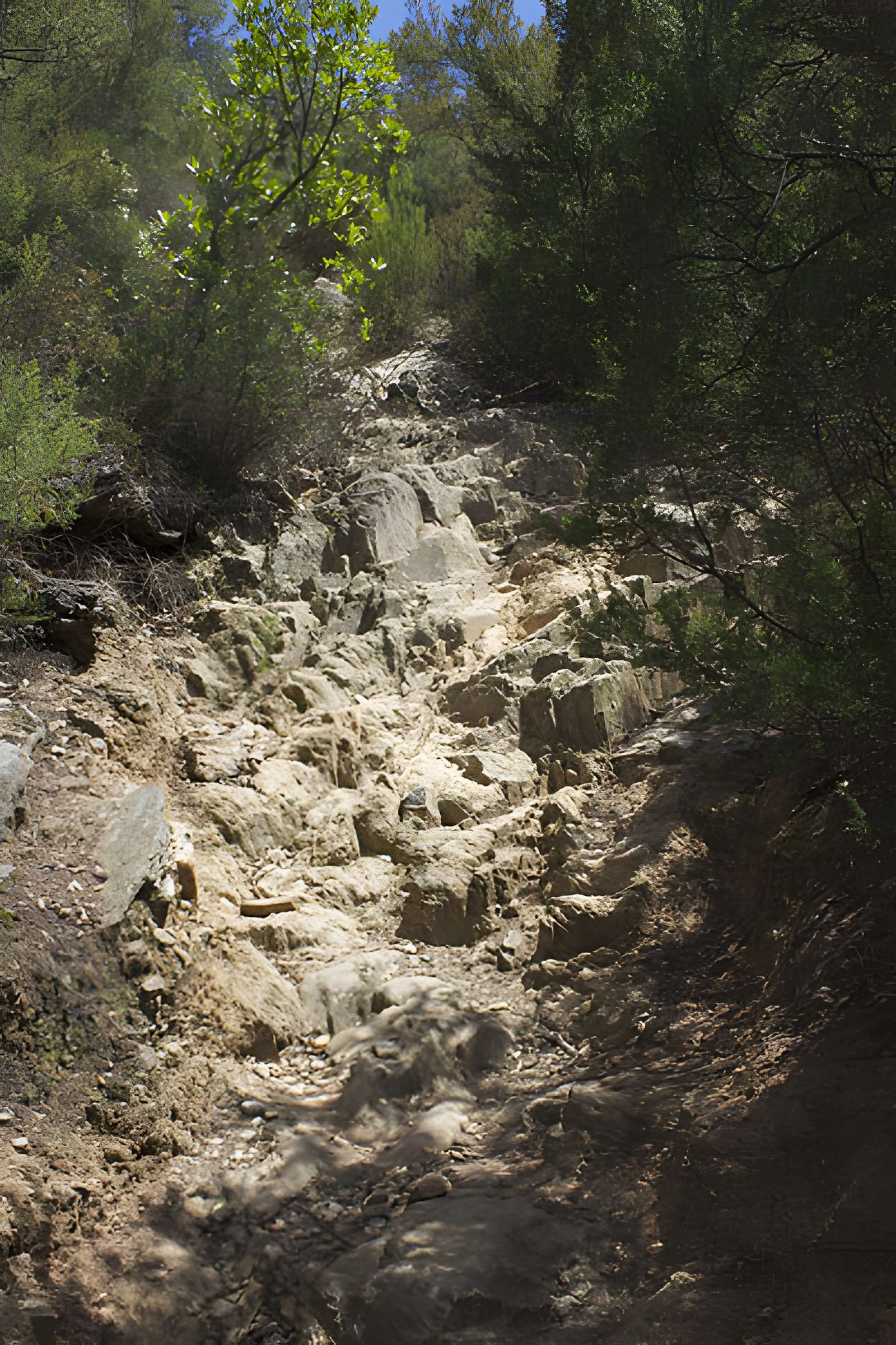 Dolmen dit Cava de l'Alarb à Argelès-sur-Mer