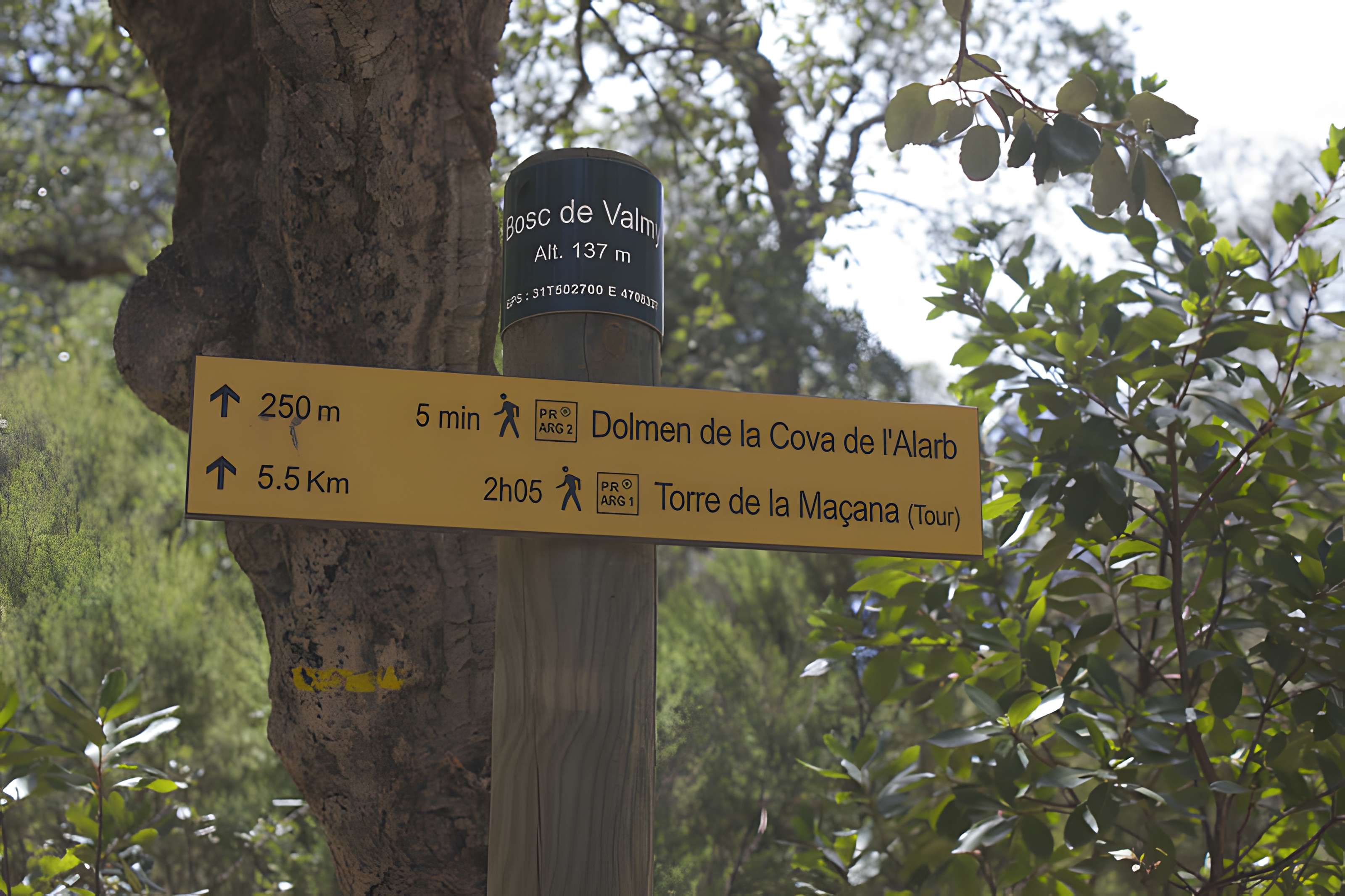 Dolmen dit Cava de l'Alarb à Argelès-sur-Mer