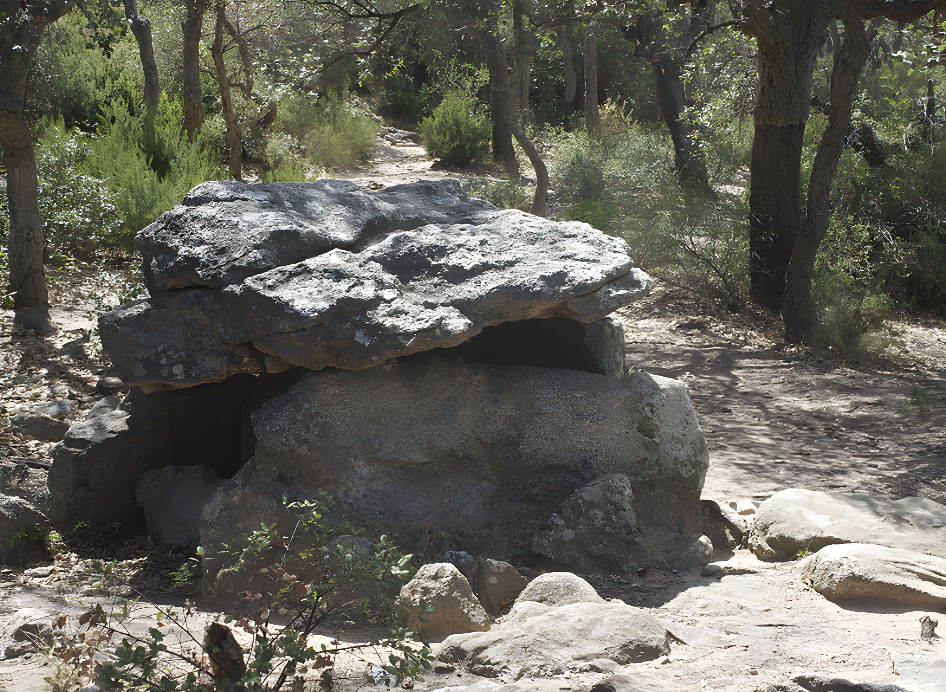 Dolmen dit Cava de l'Alarb à Argelès-sur-Mer