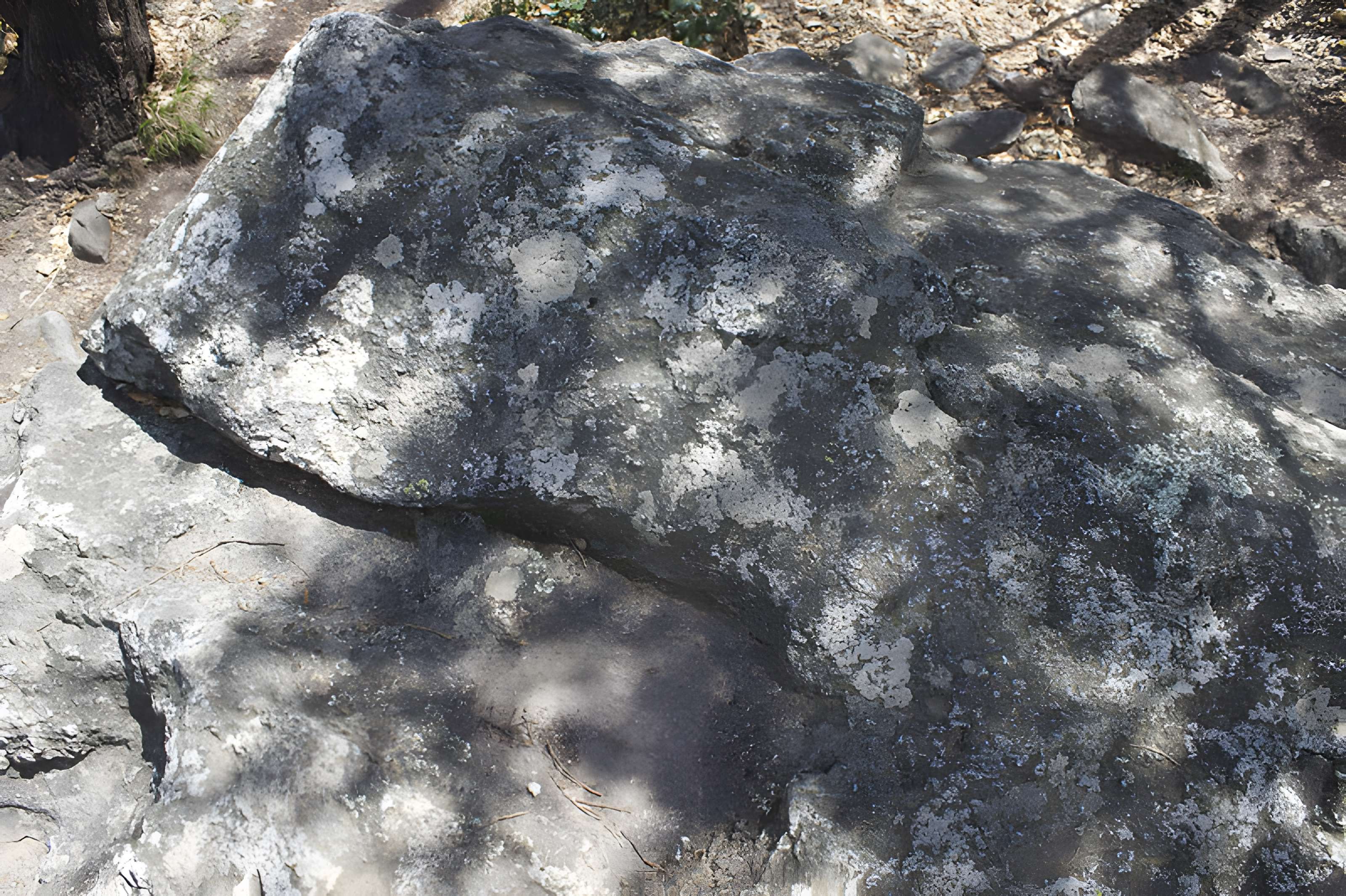 Dolmen dit Cava de l'Alarb à Argelès-sur-Mer