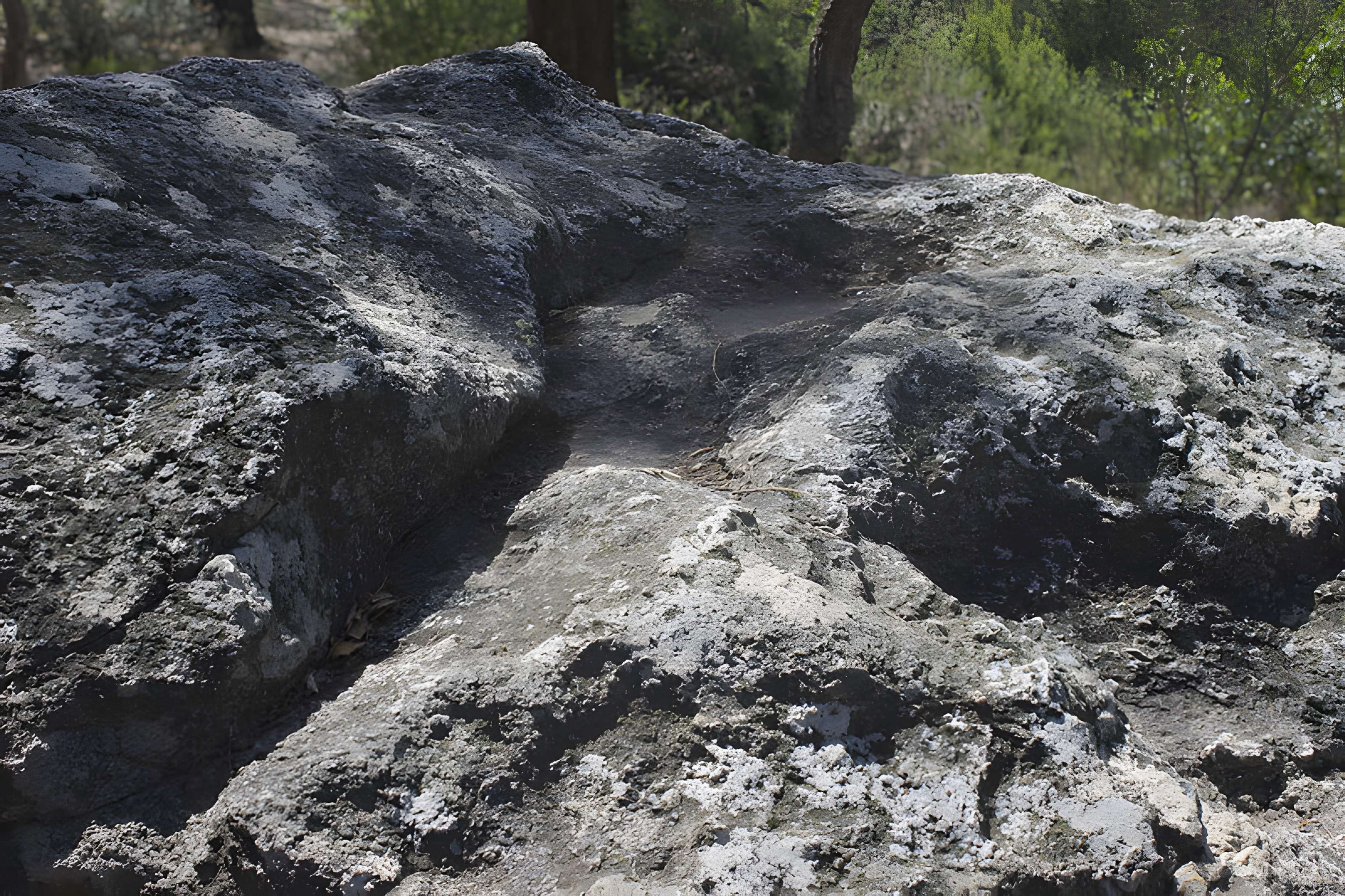 Dolmen dit Cava de l'Alarb à Argelès-sur-Mer