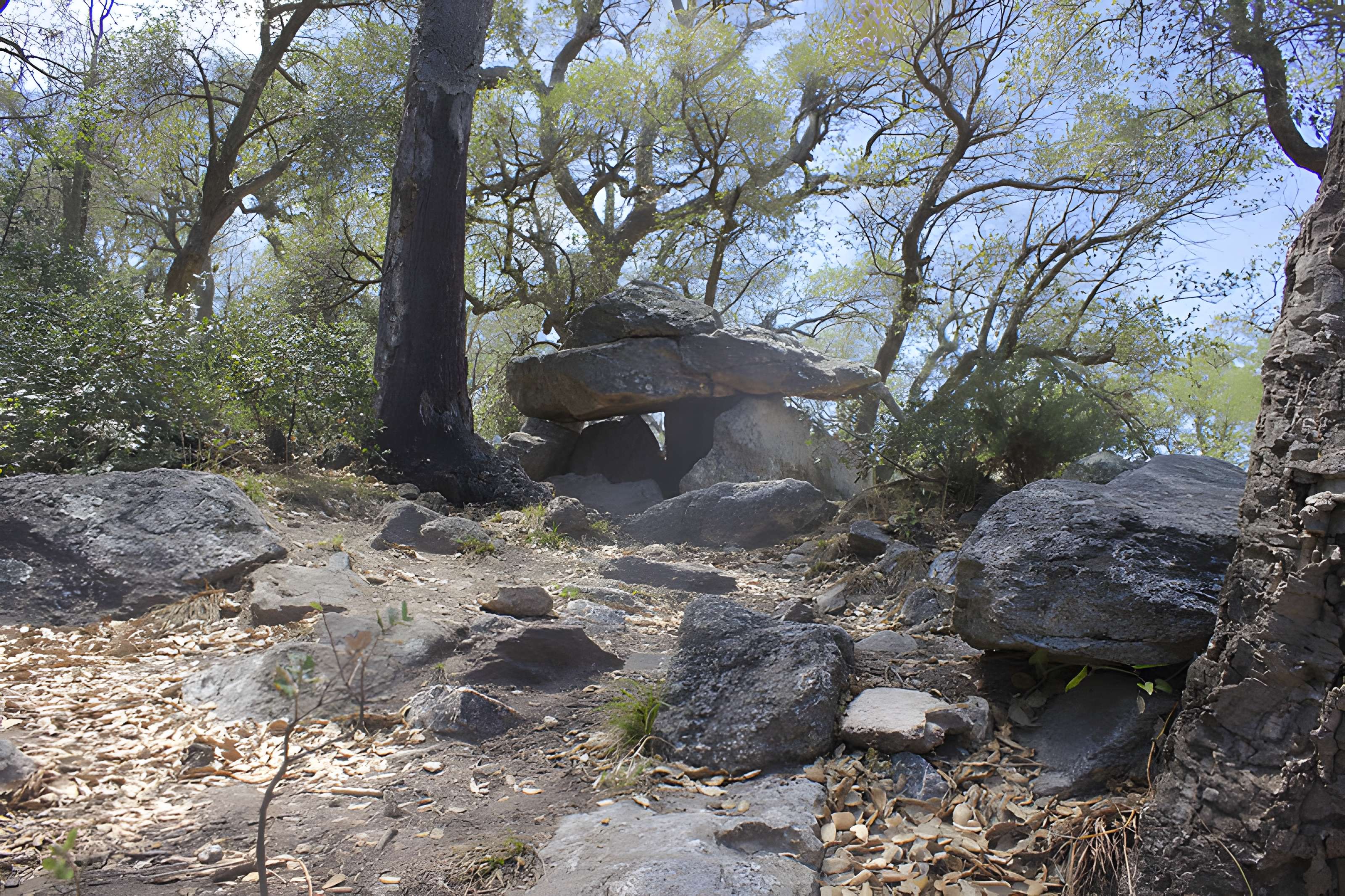 Dolmen dit Cava de l'Alarb à Argelès-sur-Mer