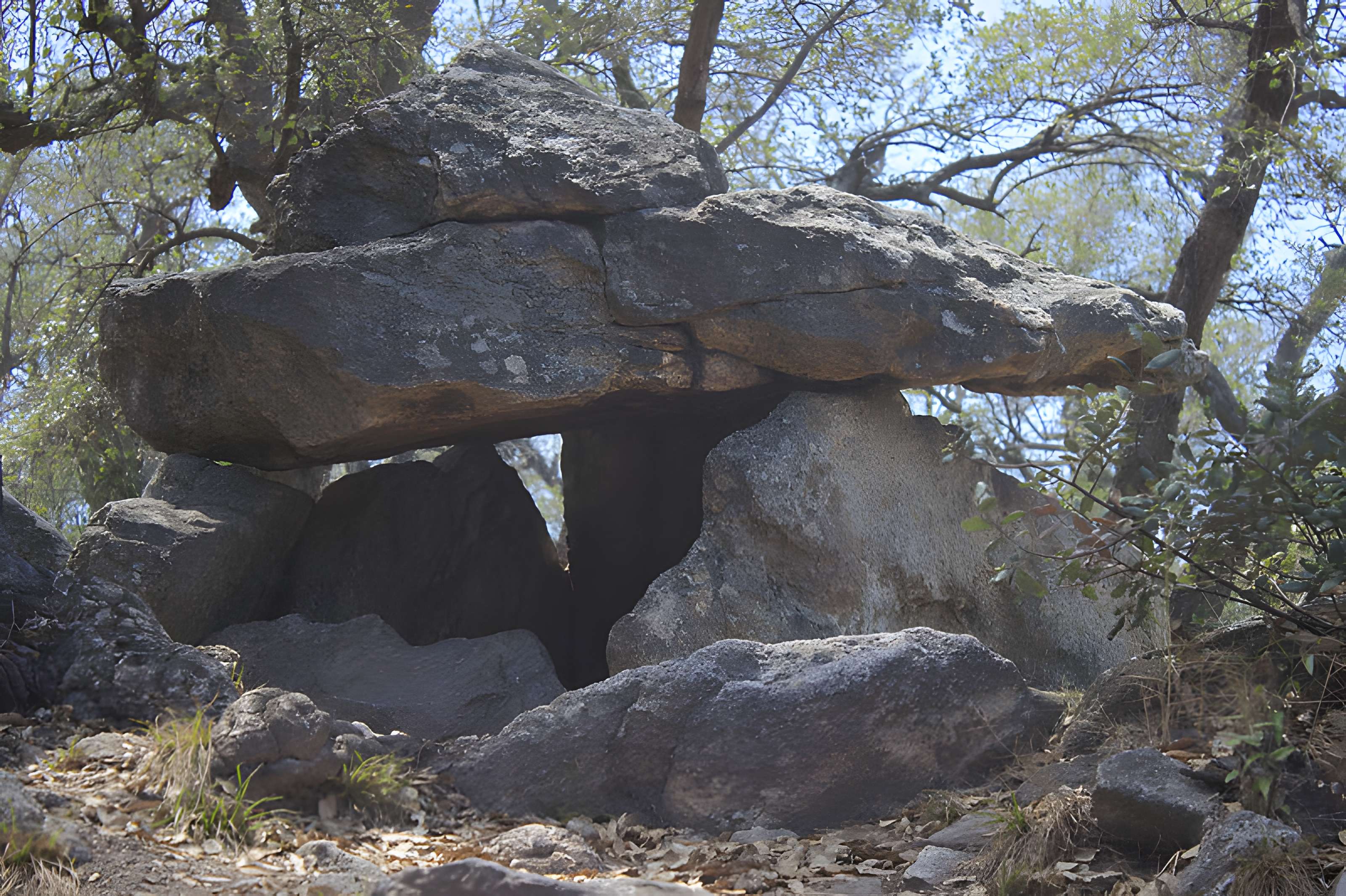Dolmen dit Cava de l'Alarb à Argelès-sur-Mer