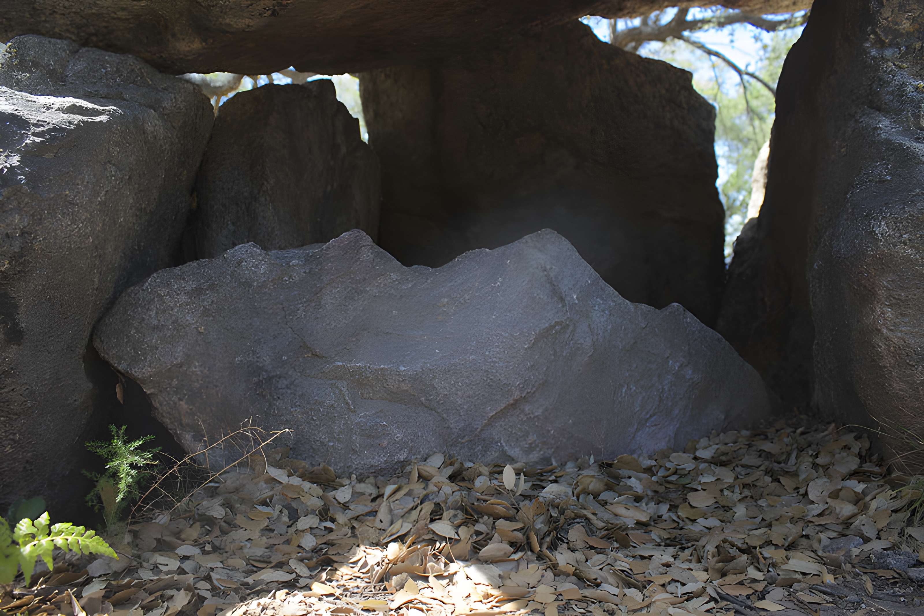 Dolmen dit Cava de l'Alarb à Argelès-sur-Mer