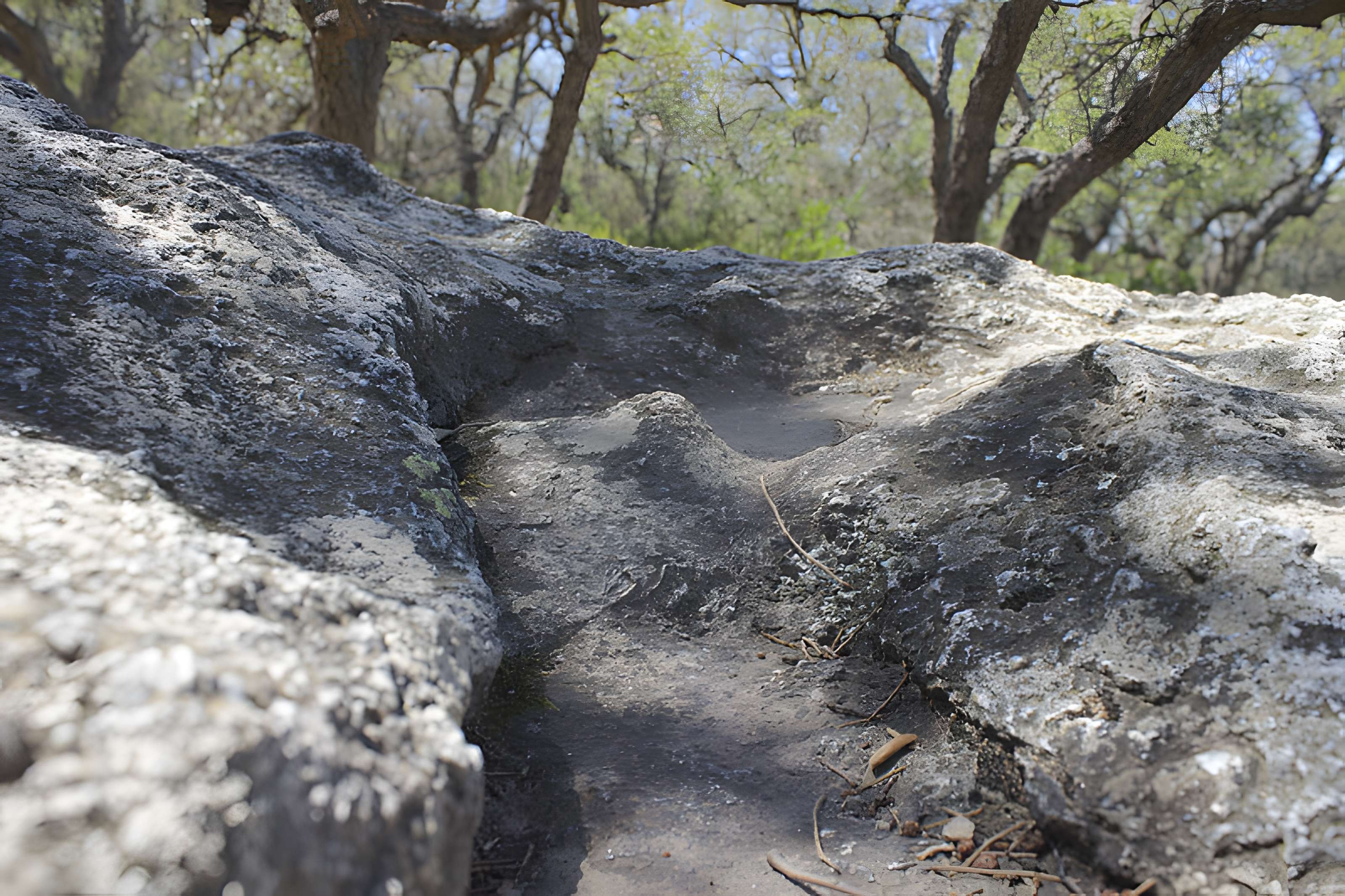 Dolmen dit Cava de l'Alarb à Argelès-sur-Mer