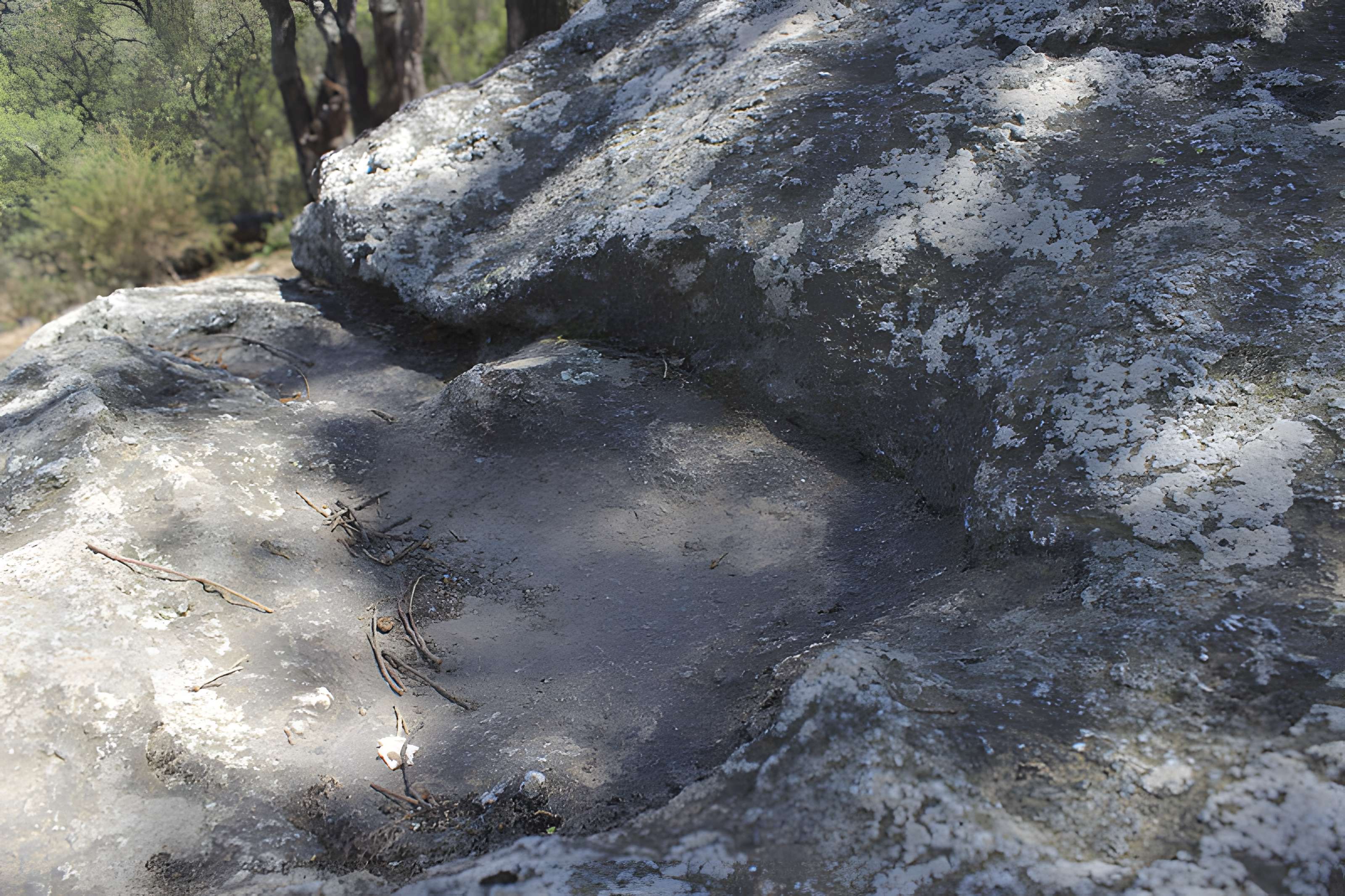 Dolmen dit Cava de l'Alarb à Argelès-sur-Mer