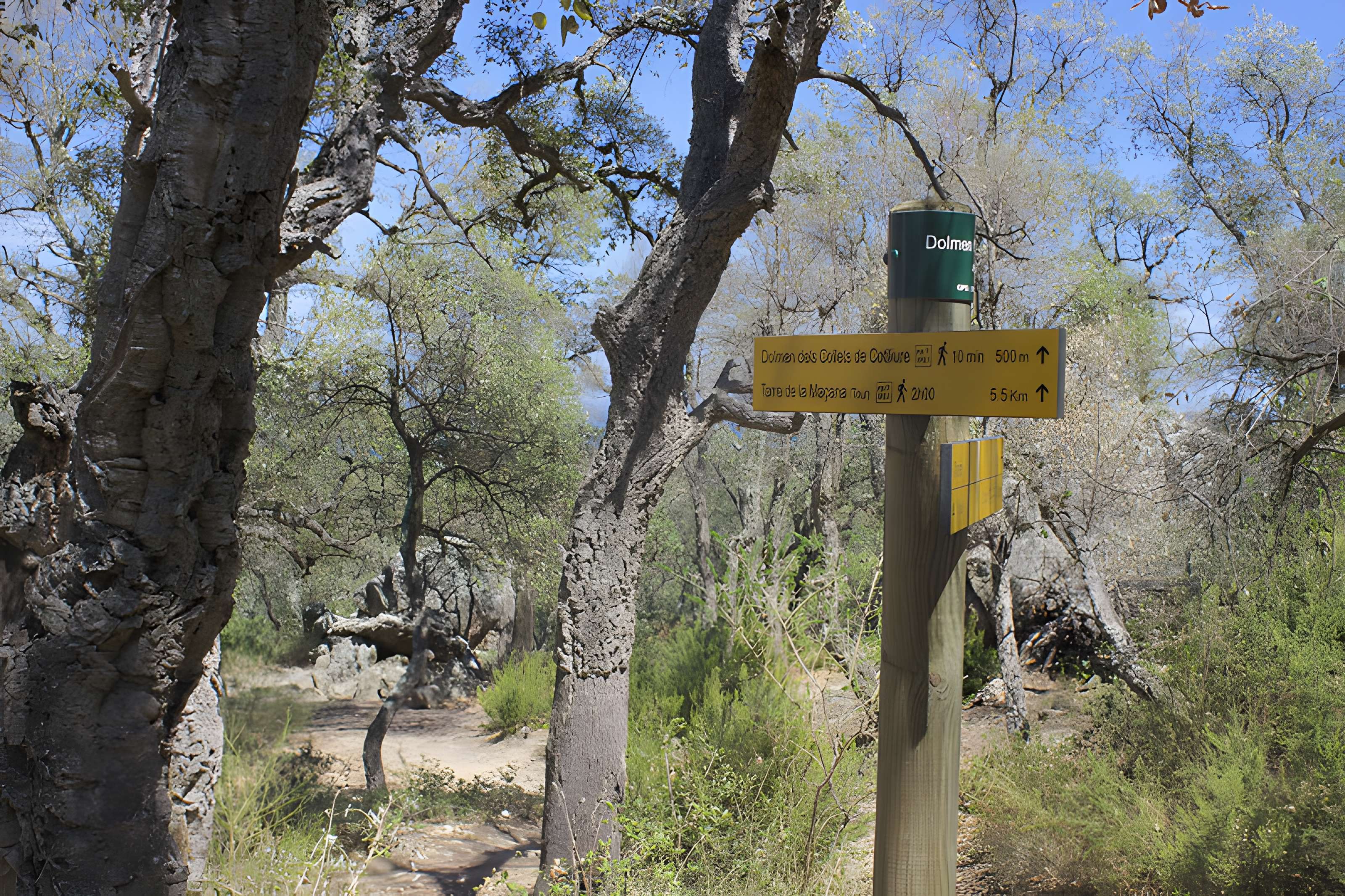 Dolmen dit Cava de l'Alarb à Argelès-sur-Mer