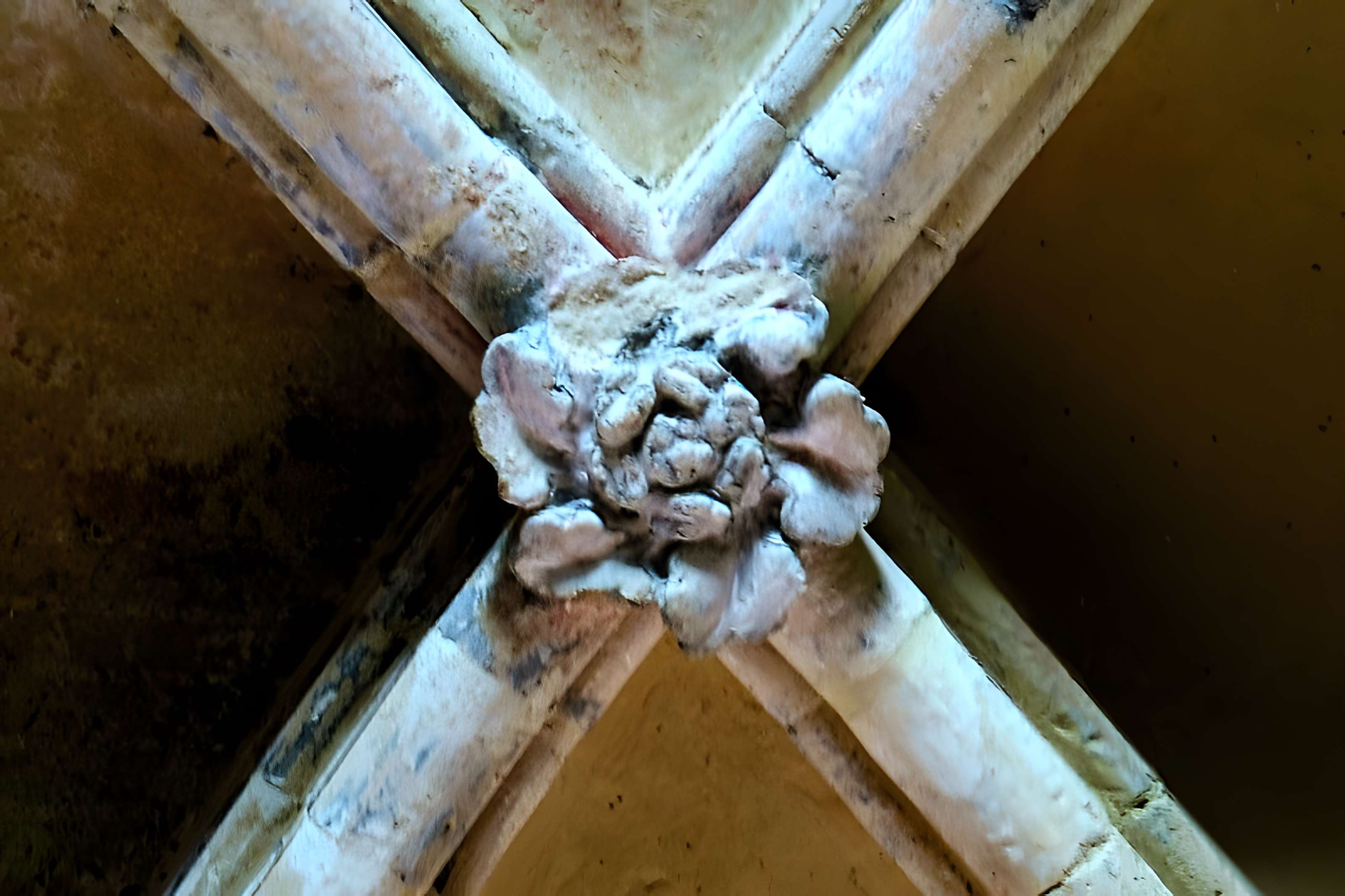 Église Saint-Ayoul de Provins