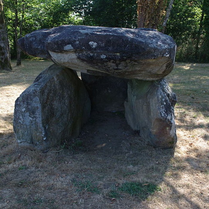 Photo de Dolmen dit La Pierre Levée à Saint-Laurent-sur-Gorre