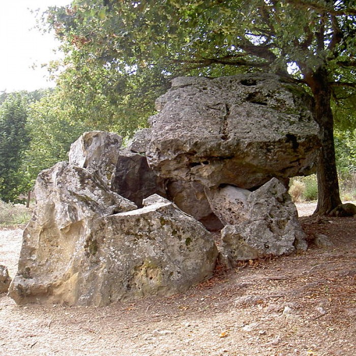 Photo de Dolmen dit Pierre Chaude à Paulmy