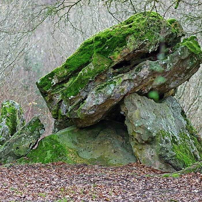 Photo de Dolmen dit Pierre Chaude à Paulmy