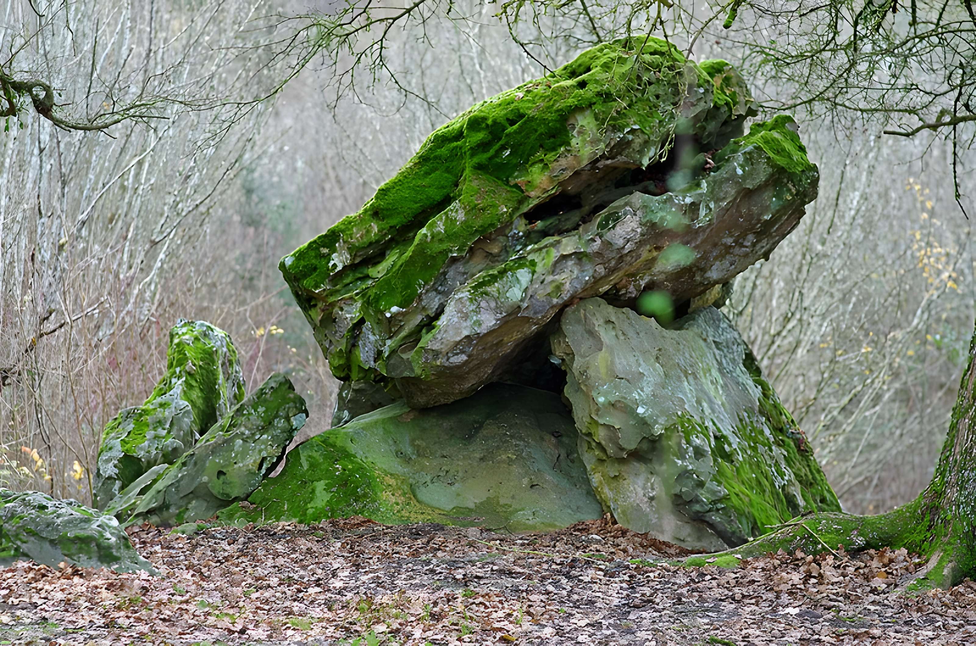 Dolmen dit Pierre Chaude à Paulmy