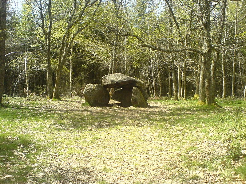 Photo de Dolmen dit Pierre-la-Fade à Blessac