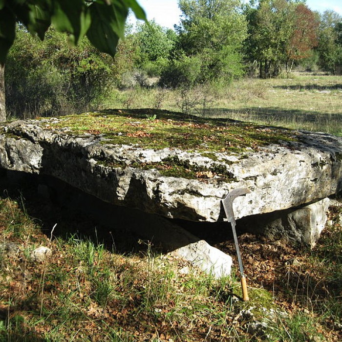 Photo de Dolmen du Bois-des-Boeufs à Assier