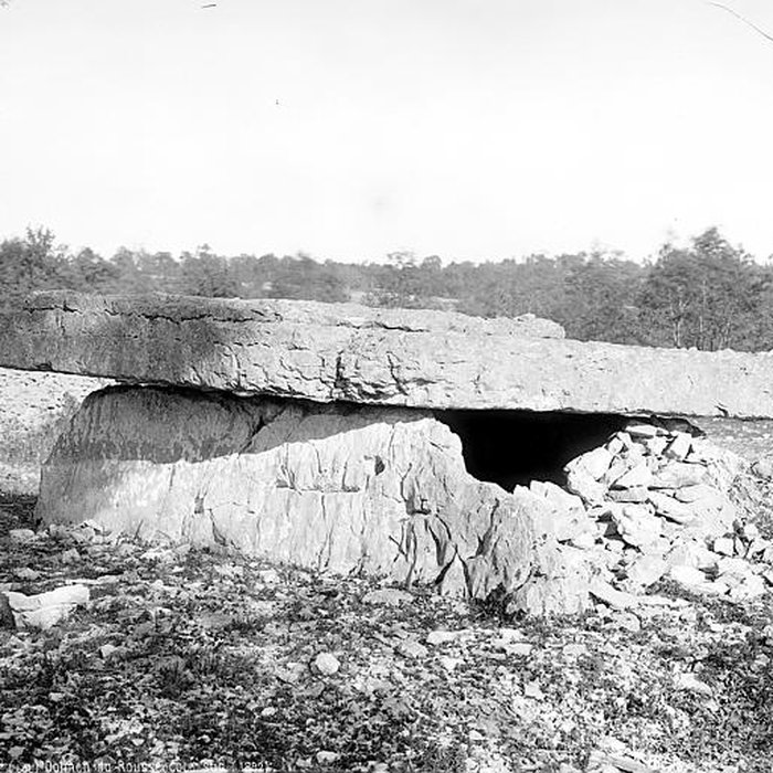 Photo de Dolmen du Bois-des-Boeufs à Assier