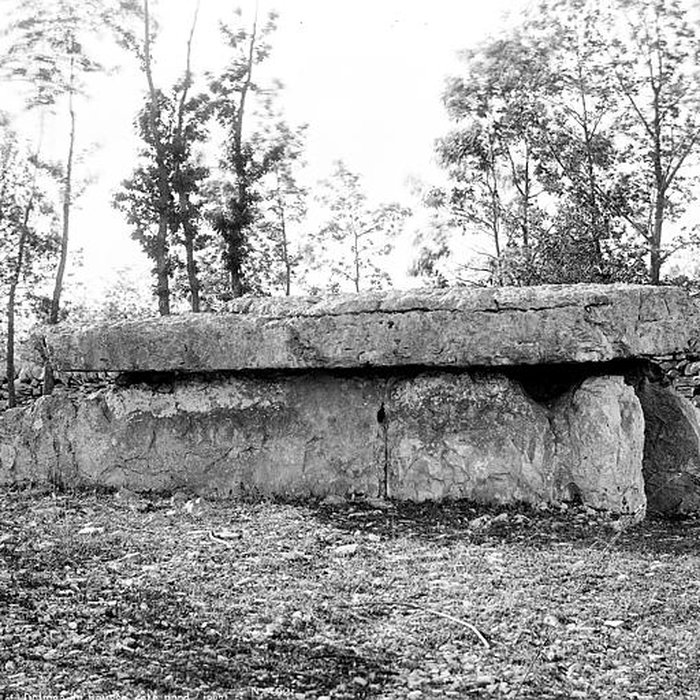 Photo de Dolmen du Bois-des-Boeufs à Assier