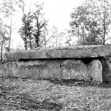 Dolmen du Bois-des-Boeufs à Assier