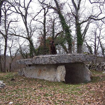 Dolmen du Bois-des-Boeufs à Assier