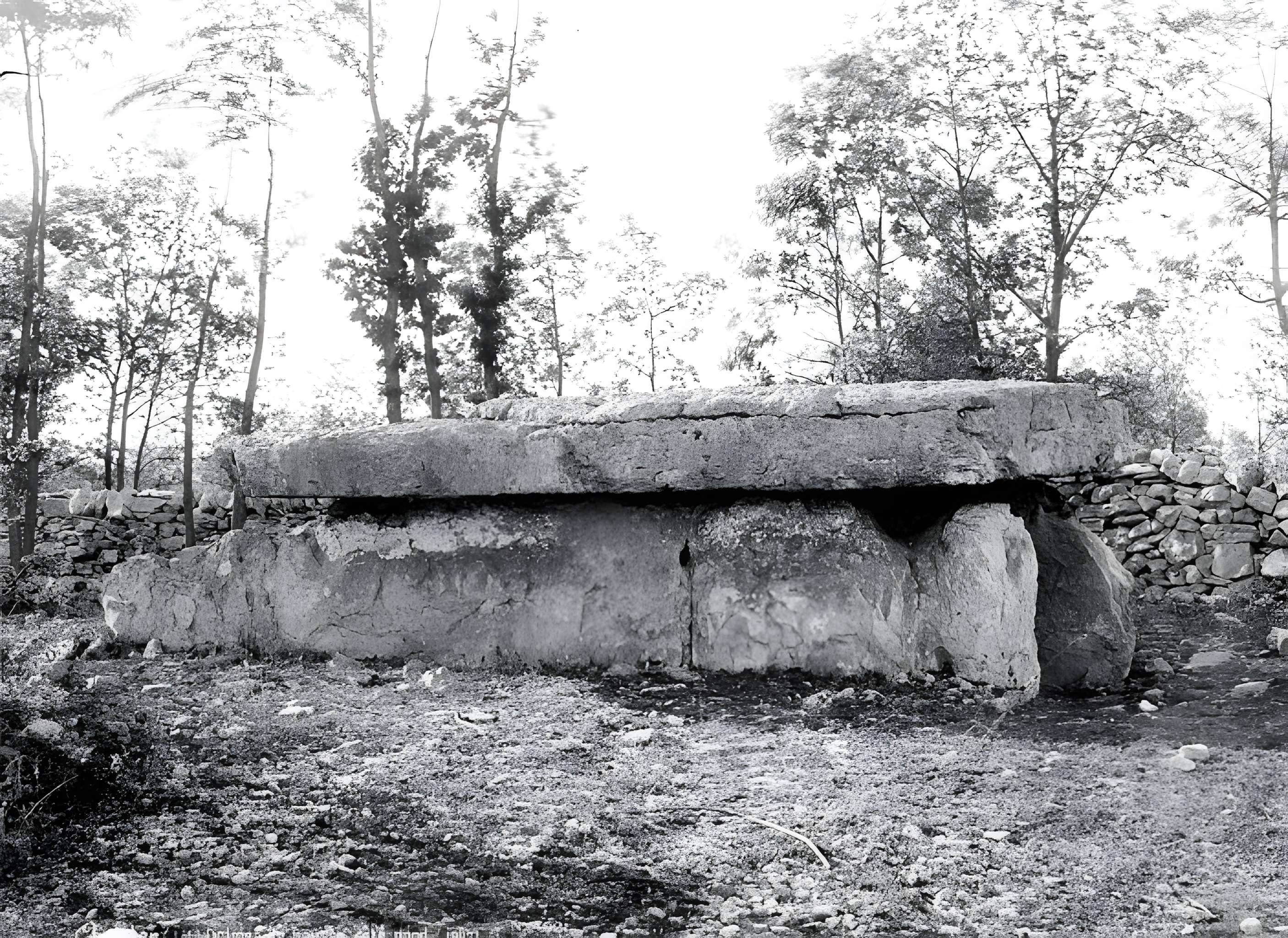 Dolmen du Bois-des-Boeufs à Assier