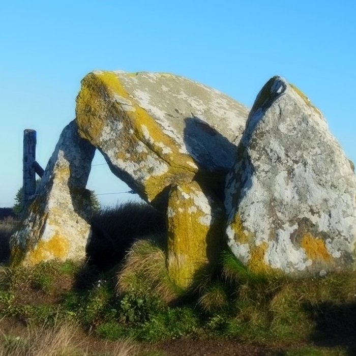 Photo de Dolmen du Crapaud à Billiers