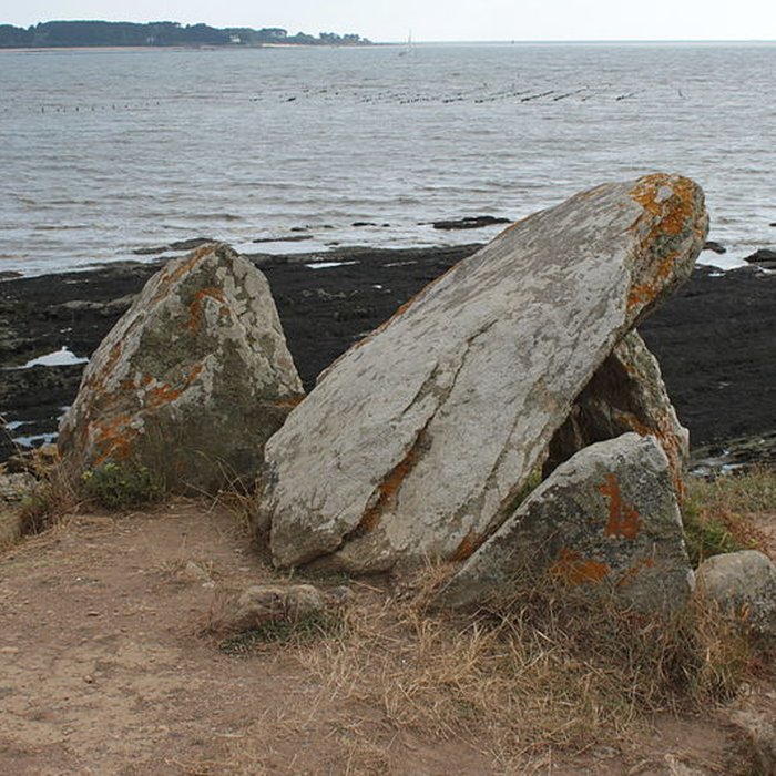 Photo de Dolmen du Crapaud à Billiers