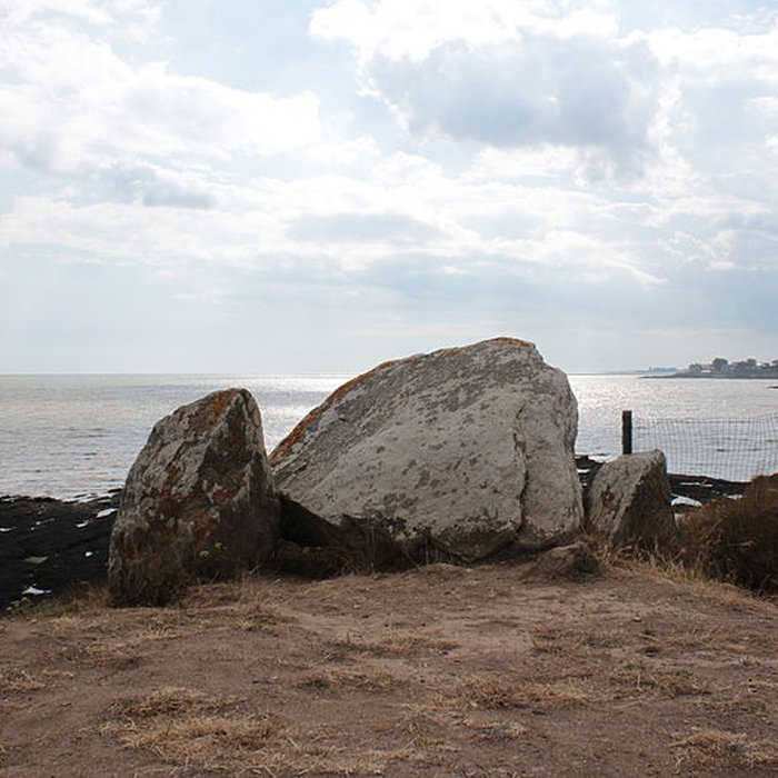Photo de Dolmen du Crapaud à Billiers