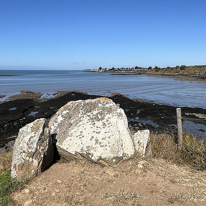 Photo de Dolmen du Crapaud à Billiers