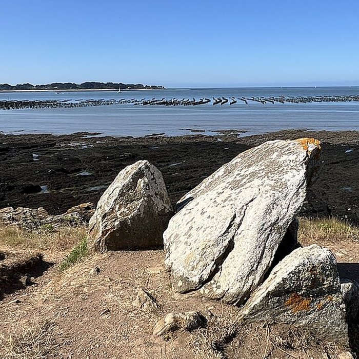 Photo de Dolmen du Crapaud à Billiers
