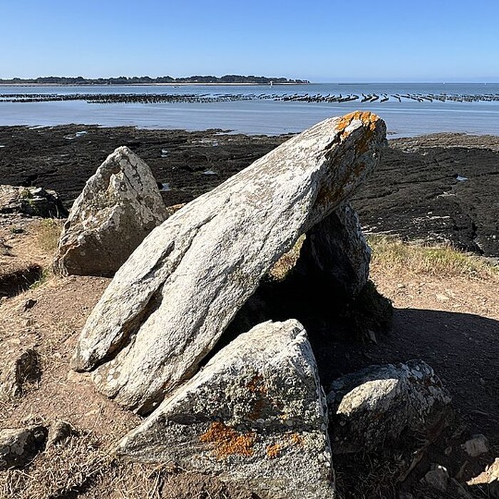 Photo de Dolmen du Crapaud à Billiers