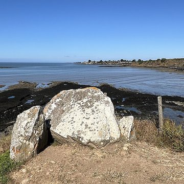 Dolmen du Crapaud à Billiers