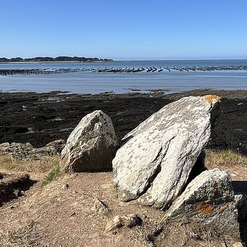 Dolmen du Crapaud à Billiers