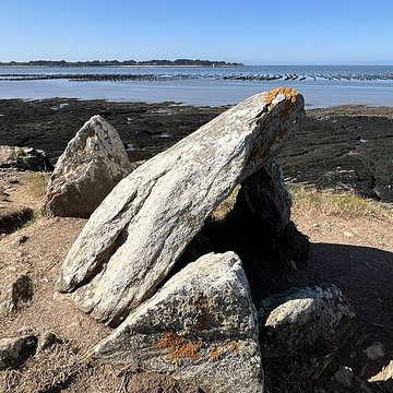 Dolmen du Crapaud à Billiers