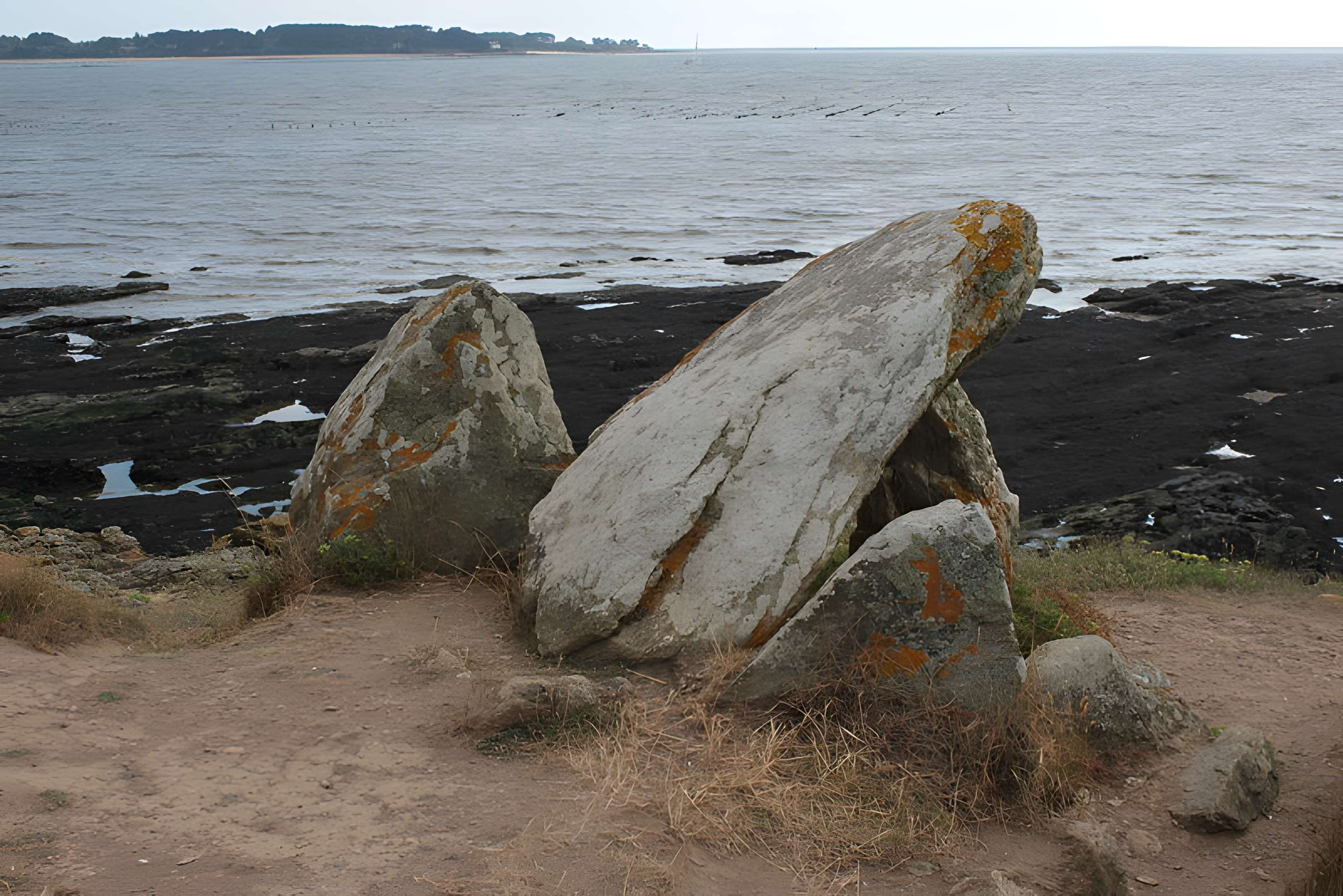 Dolmen du Crapaud à Billiers