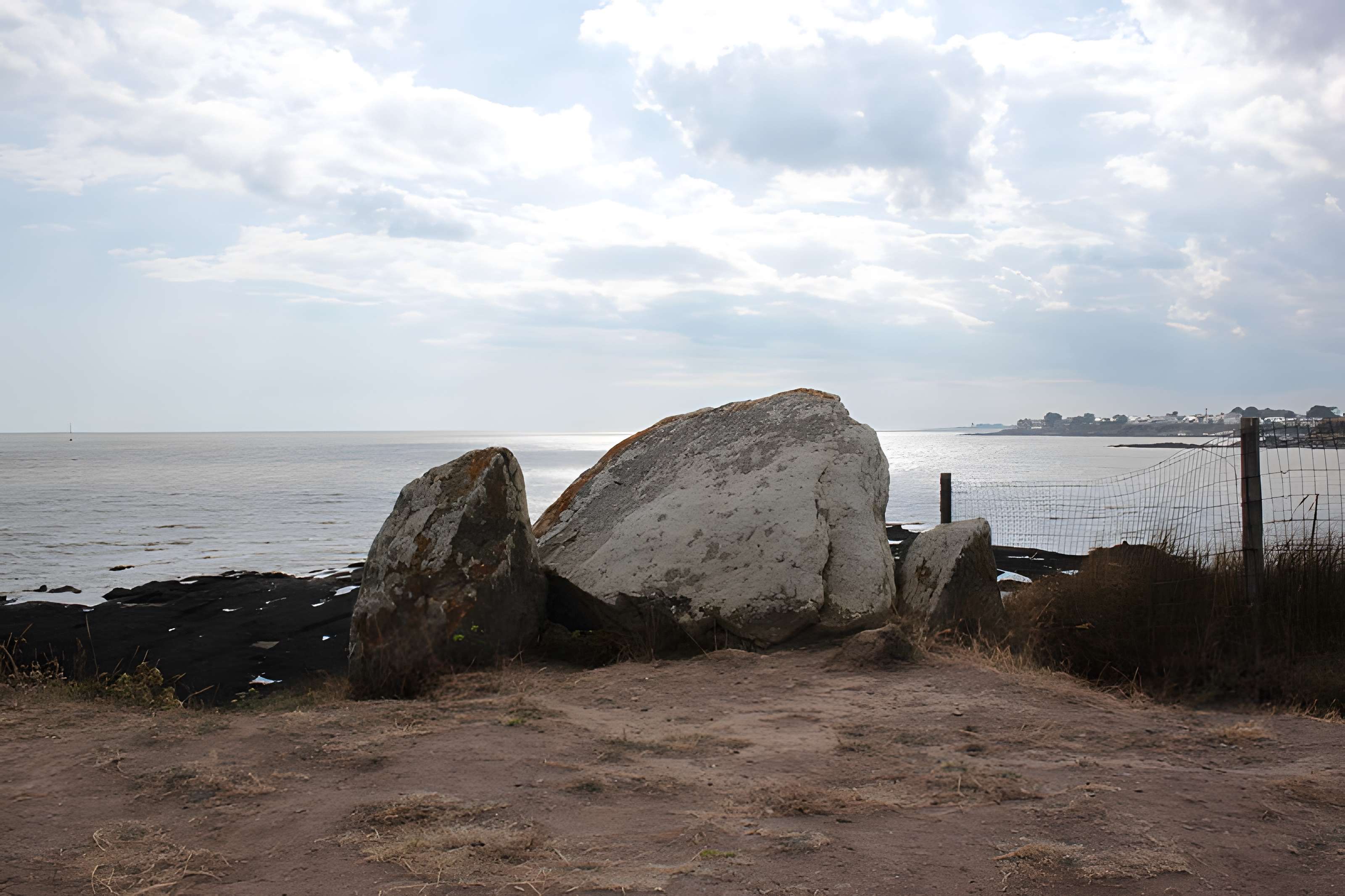 Dolmen du Crapaud à Billiers