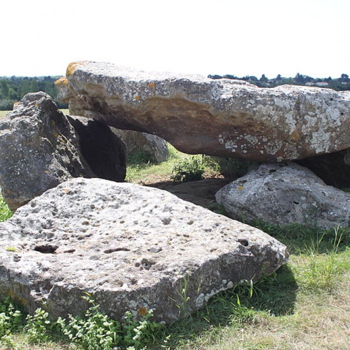Photo de Dolmen du Grand-Bouillac à Saint-Vincent-sur-Jard