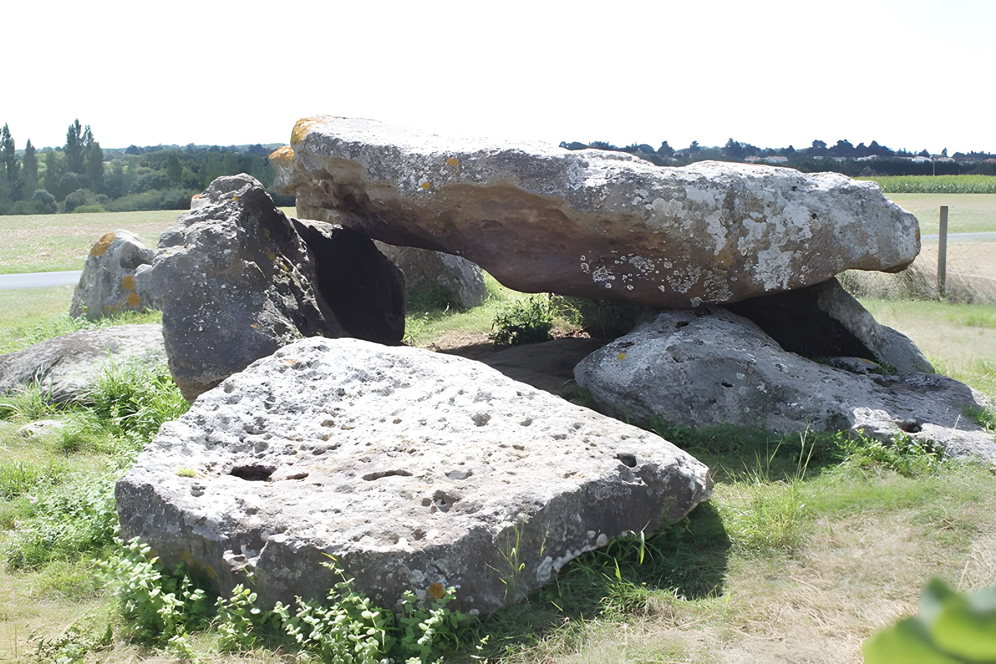 Dolmen du Grand-Bouillac à Saint-Vincent-sur-Jard 