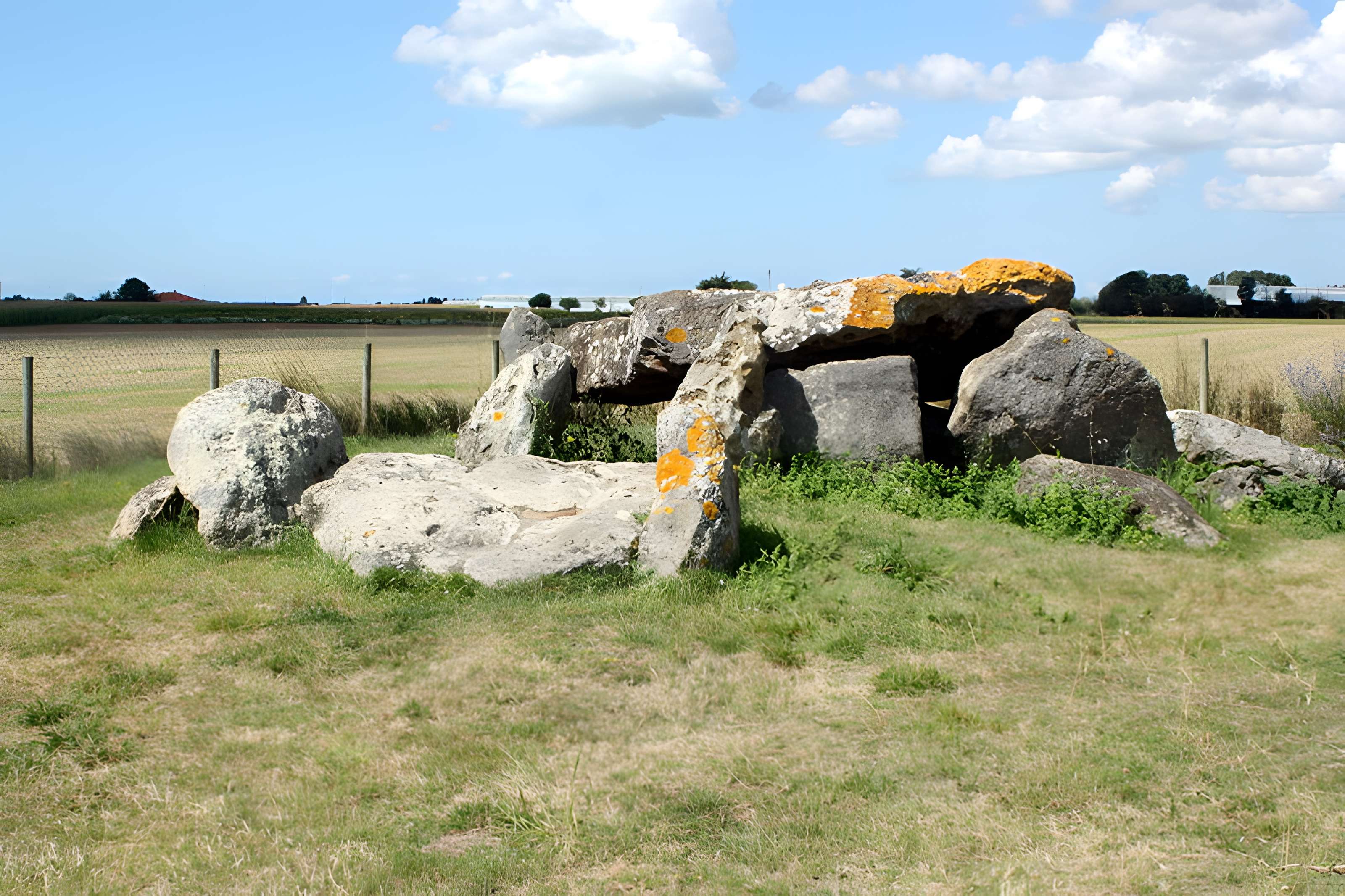 Dolmen du Grand-Bouillac à Saint-Vincent-sur-Jard