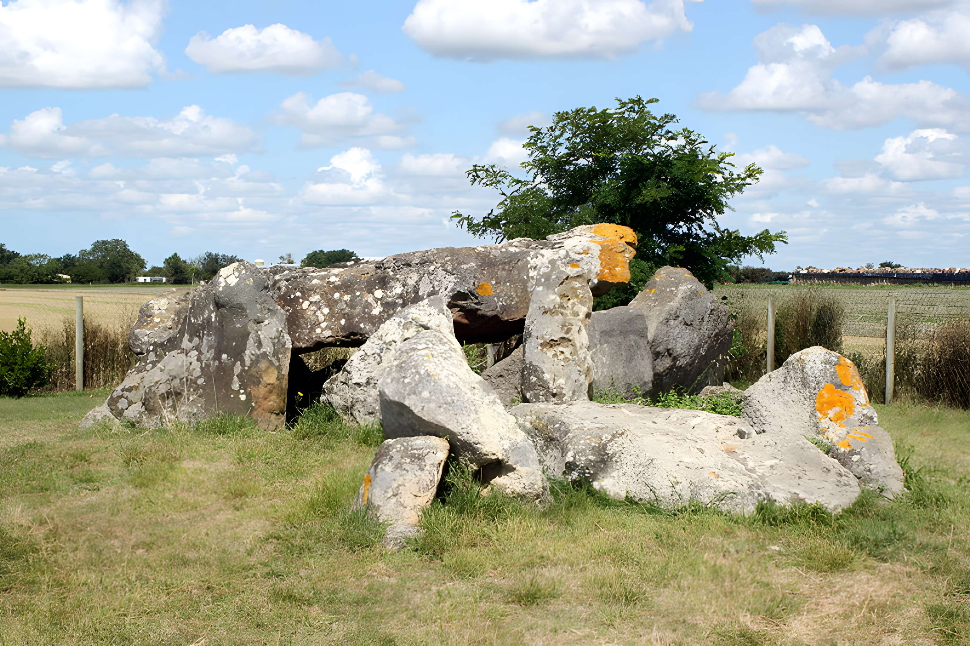 Dolmen du Grand-Bouillac à Saint-Vincent-sur-Jard