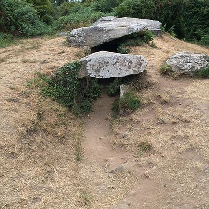 Photo de Dolmen du Graniol à Arzon