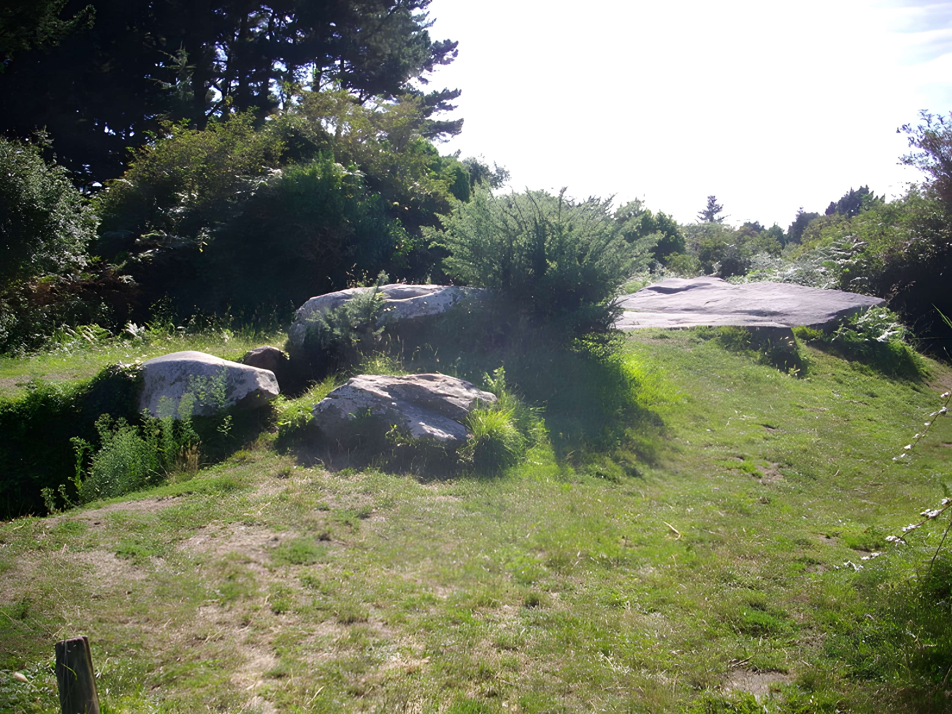 Dolmen du Graniol à Arzon