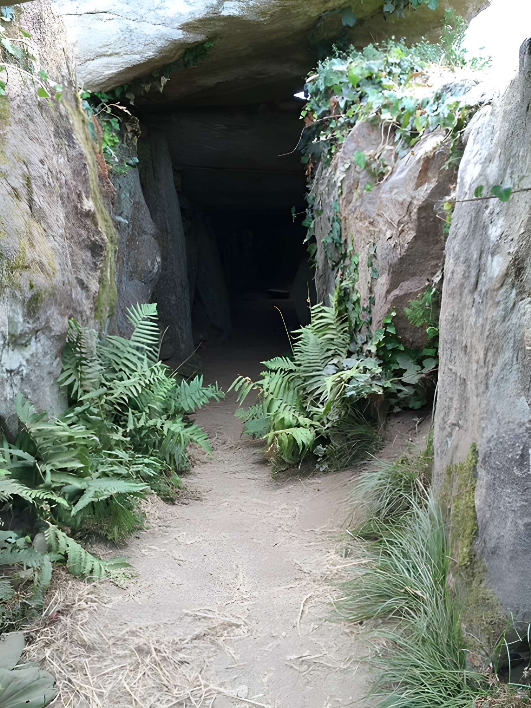 Dolmen du Graniol à Arzon
