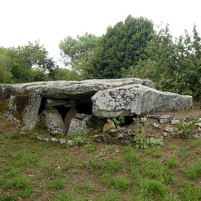 Photo de Dolmen du Mané-Rutual à Locmariaquer