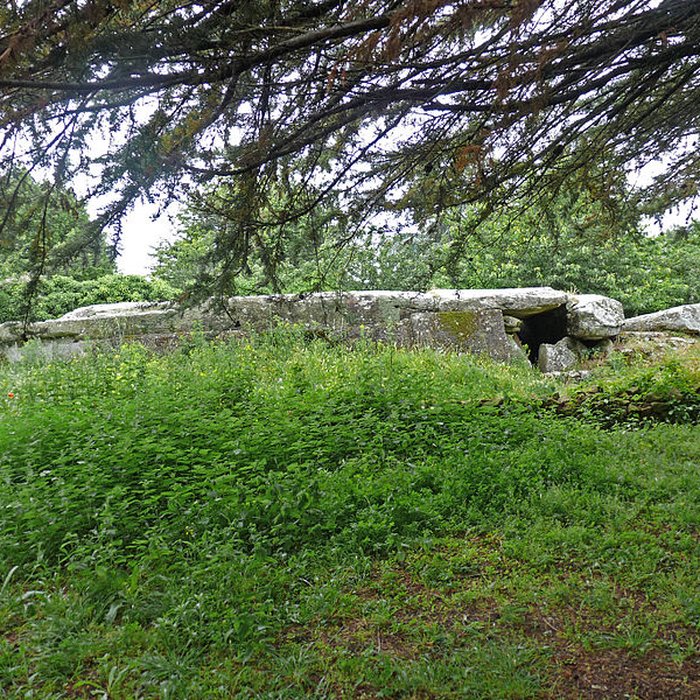 Photo de Dolmen du Mané-Rutual à Locmariaquer