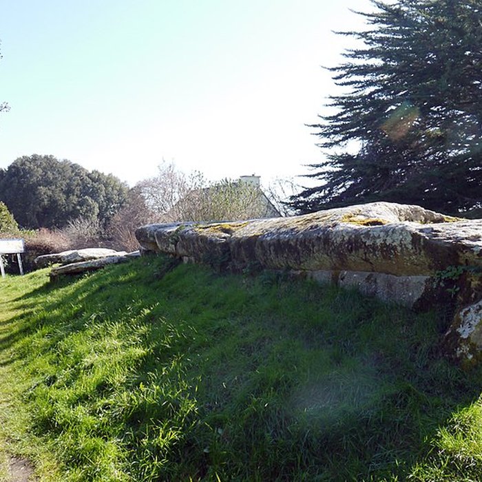 Photo de Dolmen du Mané-Rutual à Locmariaquer
